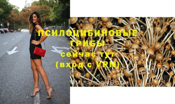 твердый Пестово