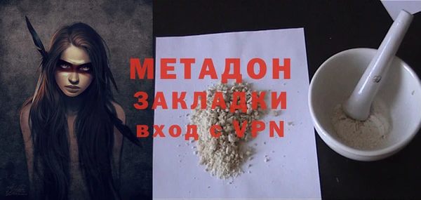 прущие грибы Пересвет