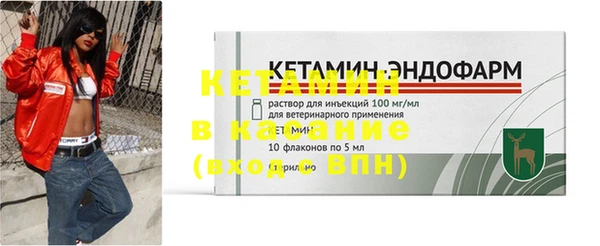 прущие грибы Пересвет