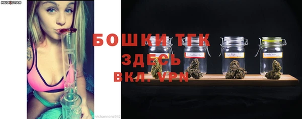 прущие грибы Пересвет