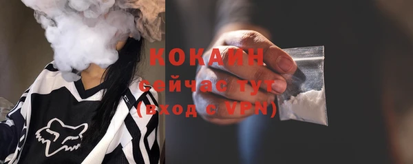 твердый Пестово