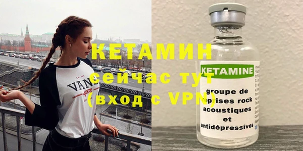 прущие грибы Пересвет